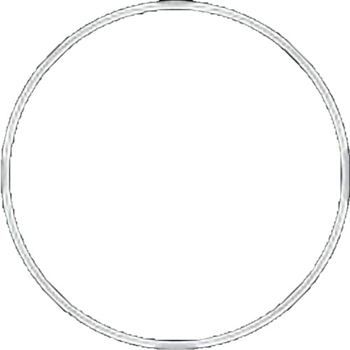 Fantasea Line Main O-Ring for FA6000 and FA6500 Underwater Housings (White)