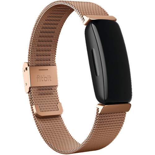 Fitbit Stainless Steel Mesh Band for Inspire 2 Fitness FB177MMRG