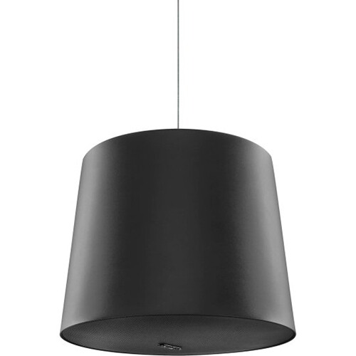 Genelec Smart IP 4436A Hanging Pendant Loudspeaker (Black)
