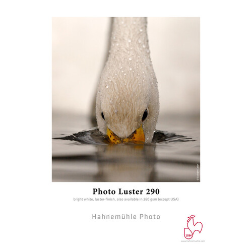 Hahnemuhle Photo Luster 290 Inkjet Roll Paper (24