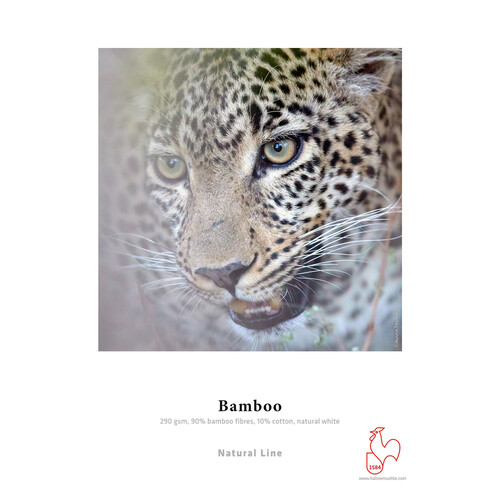 Hahnemuhle Bamboo Fine Art Paper (64