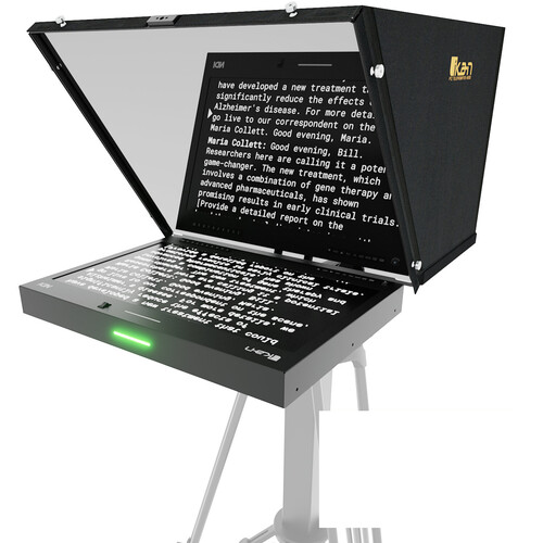 ikan Aura 19