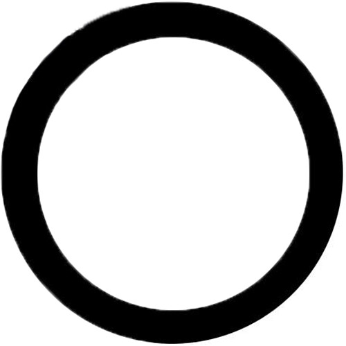 Ikelite Antireflection Ring for Panasonic Leica DG Vario-Elmarit 8-18mm f/2.8-4.0 ASPH Lens in Underwater Dome Port