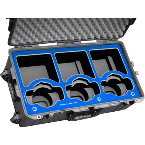 Jason Cases Case for 3 x BirdDog P110 PTZ Cameras