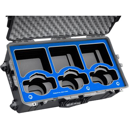 Jason Cases Case for 3 x BirdDog X120 PTZ Cameras