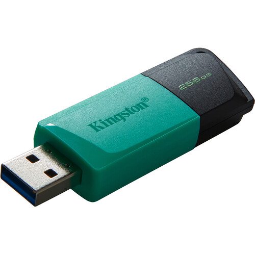 Kingston 256GB DataTraveler Exodia M USB