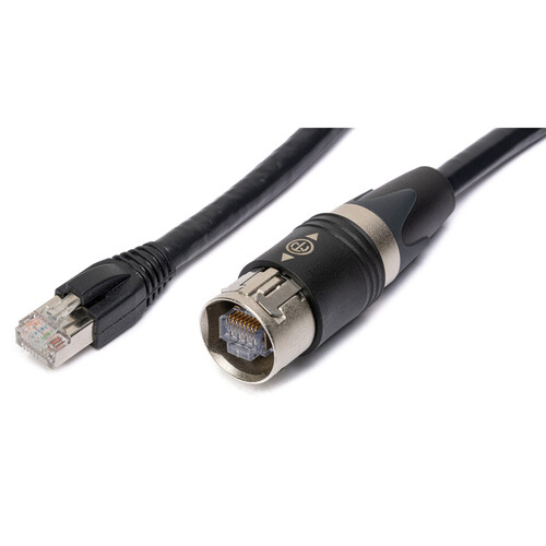 Laird Digital Cinema Belden 10GX Cat 6 UTP EtherCON to RJ45 Ethernet Cable (200')