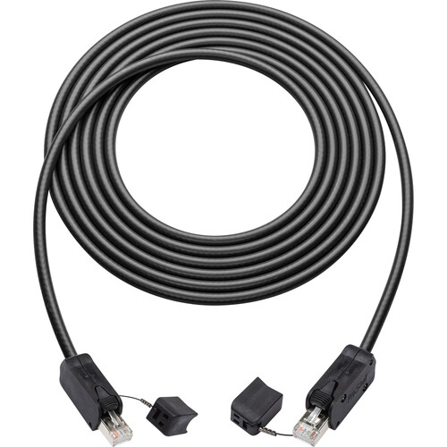 Laird Digital Cinema Belden 10GX Cat 6a Ethernet Cable (150')