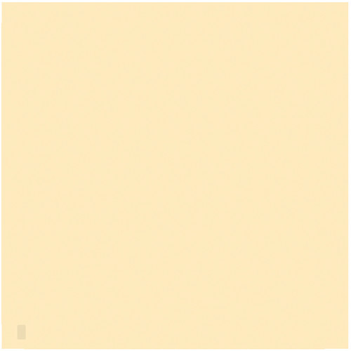 LEE Filters 809 Zircon Warm Amber 8 Filter (24 x 24