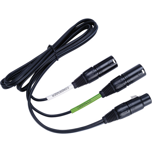 Lewitt DTP 40 Trs - 5-Pin XLR Female to Dual 3-Pin XLR Male Audio Cable (4.9')