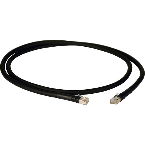 Lex Products Cat 6a Tour-Grade Extension Cable (Black 100')