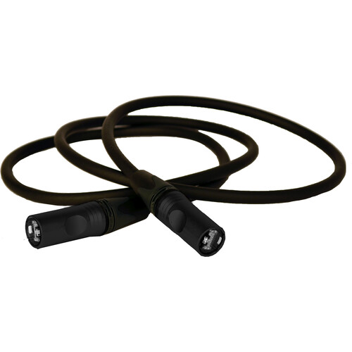 Lex Products Cat 6a EtherCON Tour Grade Extension Cable (Black 5')