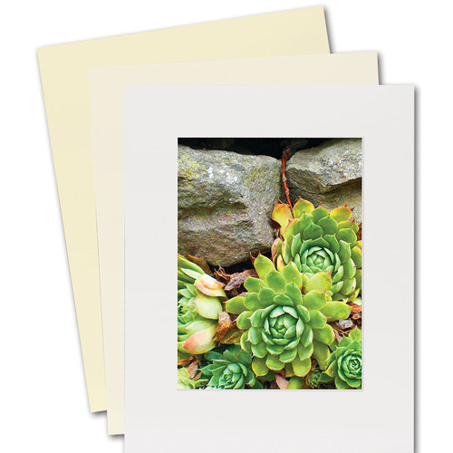 Lineco Basics 4-Ply Standard Fame Size Buffered 100% Rag Gallery Mat Board (25 Sheets 16 x 20