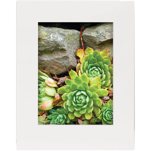 Lineco Basics 2-Ply Full-Size Buffered 100% Rag Gallery Mat Board (10 Sheets 32 x 40