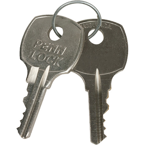 Lowell Manufacturing Replacement Keys for Rack Rear Door B644A (1 Pair)