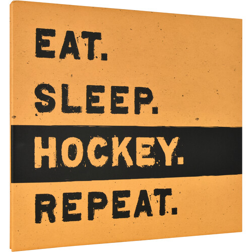 MCS MBI Hockey Sports Scrapbook Album with 12 x 12