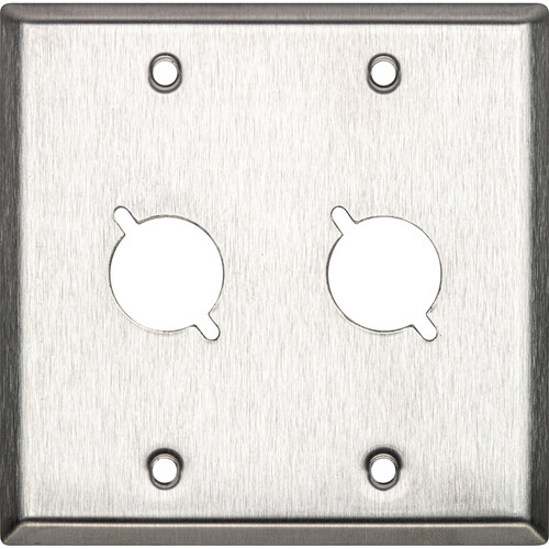 My Custom Shop 2-Gang 2-Punch Stainless Steel Wall Plate