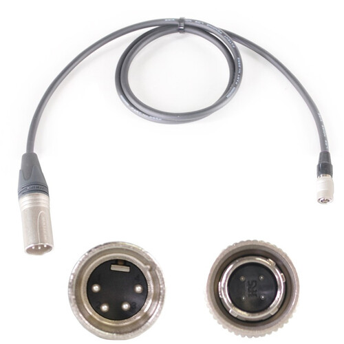Nebtek XLR to SmallHD DP7 Power Cable 4-Pin XLR Male to 4-Pin Hirose Male (8')