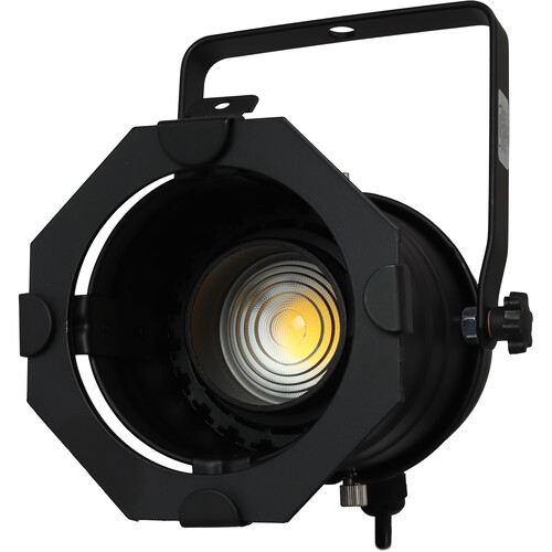 Odyssey Aluminum Par 30 Light Fixture with Adjustable LED Bulb