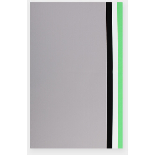 ORANGEMONKIE Extra Backdrop Sheet Set for Foldio2 (Black White Gray and Green)