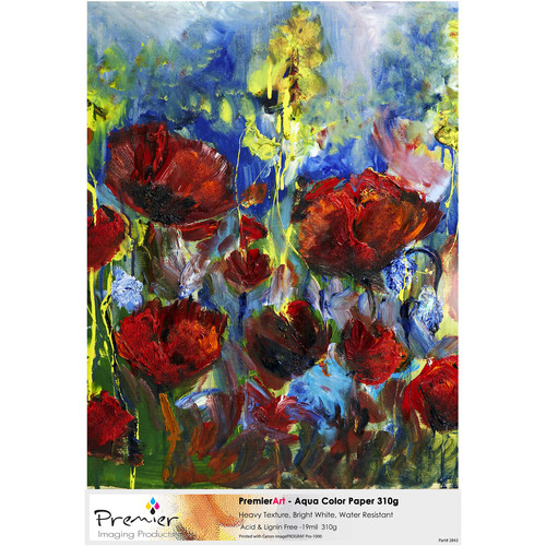 Premier Imaging PremierArt Generations Aqua Color Paper (42