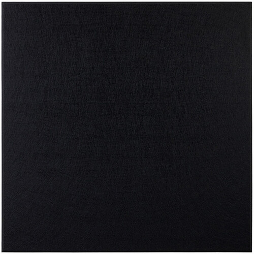 Primacoustic EcoScapes Beveled Acoustic Wall Panels (Onyx 24 x 24 x 1