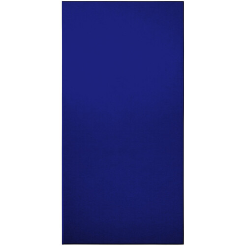 Primacoustic EcoScapes Beveled Acoustic Wall Panels (Cobalt 48 x 24 x 1