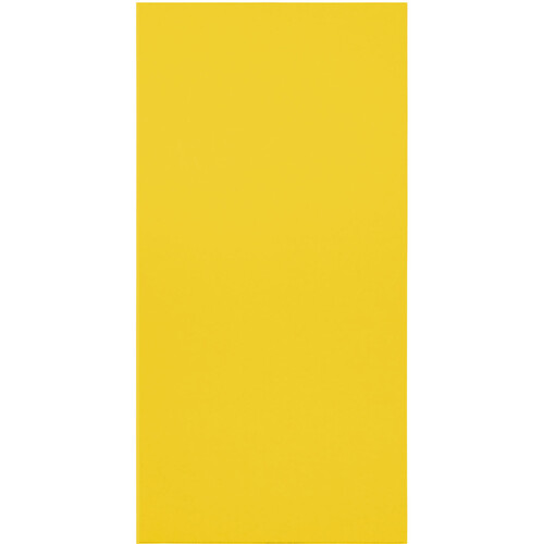 Primacoustic EcoScapes Beveled Acoustic Wall Panels (Citrus 48 x 24 x 1
