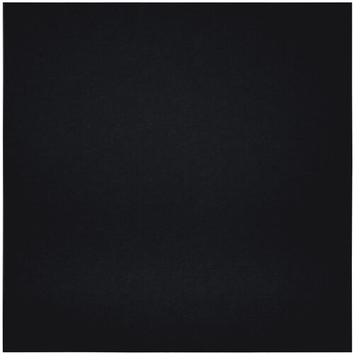 Primacoustic EcoScapes Beveled Acoustic Wall Panels (Onyx 48 x 48 x 1