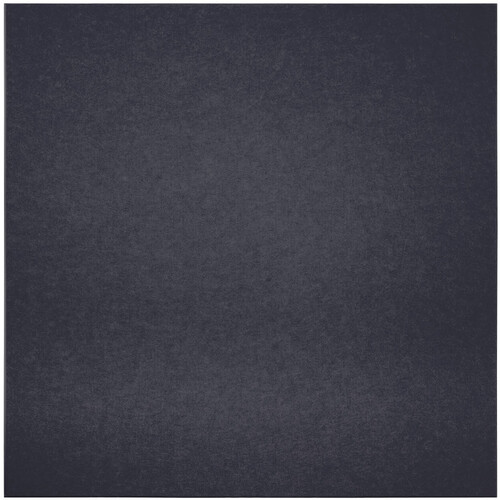 Primacoustic EcoScapes Beveled Acoustic Wall Panels (Slate 48 x 48 x 1