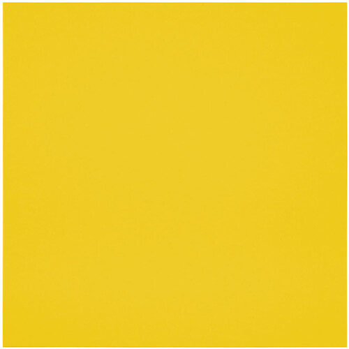 Primacoustic EcoScapes Beveled Acoustic Wall Panels (Citrus 48 x 48 x 1