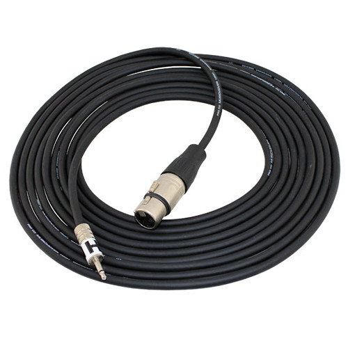 Pro Co Sound Mini Male to XLR Female Cable - 15'