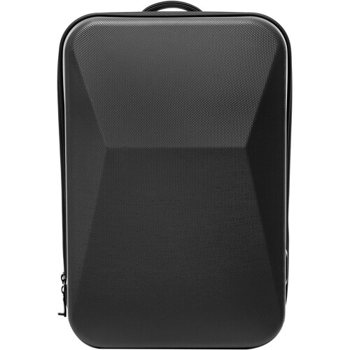 RAINSBERG Classic Backpack (Black with Gray Lining 22L)