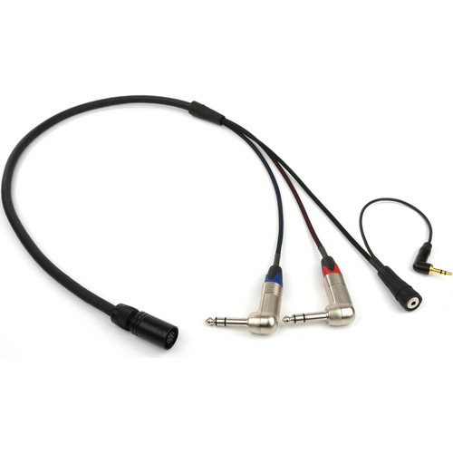 Remote Audio