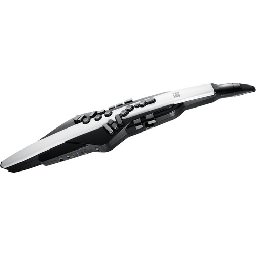 Roland Aerophone AE-20 Digital Wind Instrument