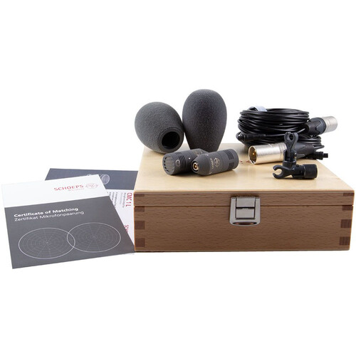 Schoeps Colette CMC 1 L Microphone Amp and MK 41 Supercardioid Condenser Capsule (Matte Gray Stereo Set)
