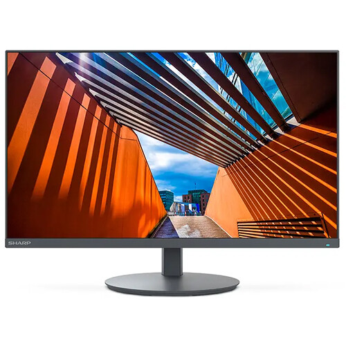 Sharp MultiSync DD-E224F 21.5