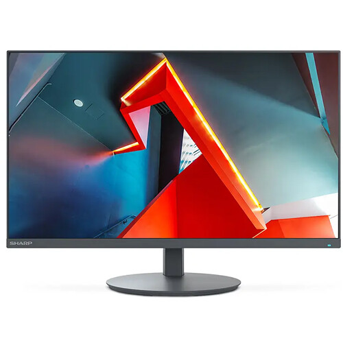 Sharp MultiSync DD-E244FL 23.8