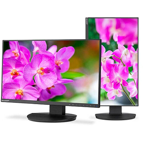 Sharp MultiSync DD-EA241F 23.8