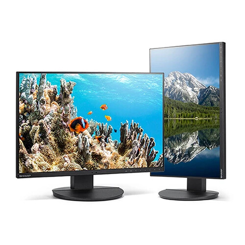 Sharp MultiSync DD-EA242W 24