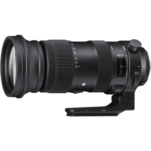 Sigma 60-600mm f/4.5-6.3 DG OS HSM Sport