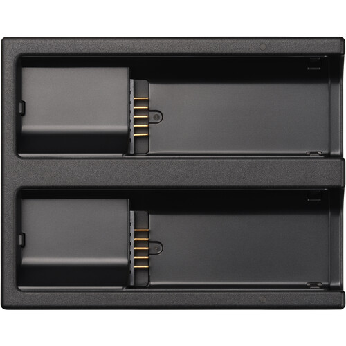 Sigma BC-81 Battery Charger