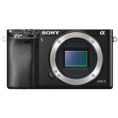 Sony alpha a6000 примеры фото