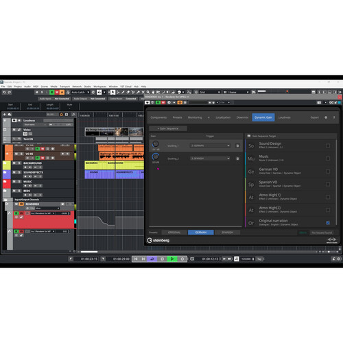 Steinberg Nuendo 13 Music and Audio Postproduction Software (Upgrade from Nuendo 12 Download)
