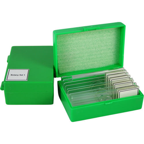 Swift MA806 Botany Slide Kit (Plants Fungi Algae)