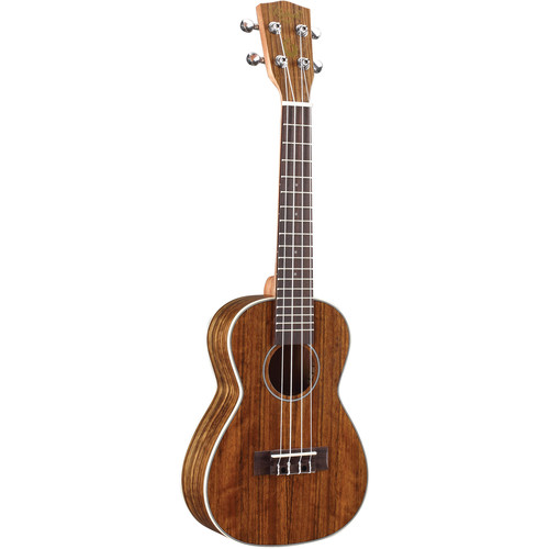 Kahua Tycoon Series 24