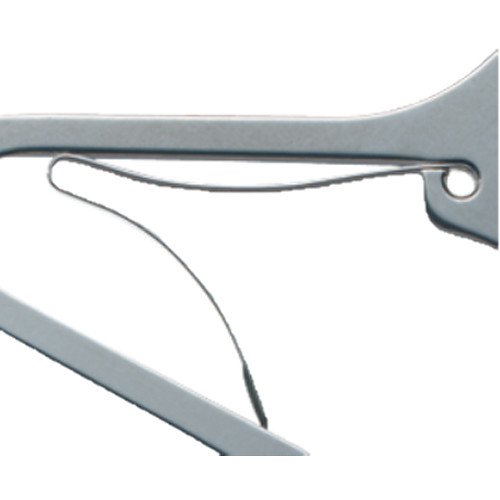 Victorinox Swiss Army Knife Scissor Spring (Medium, 6Pack)