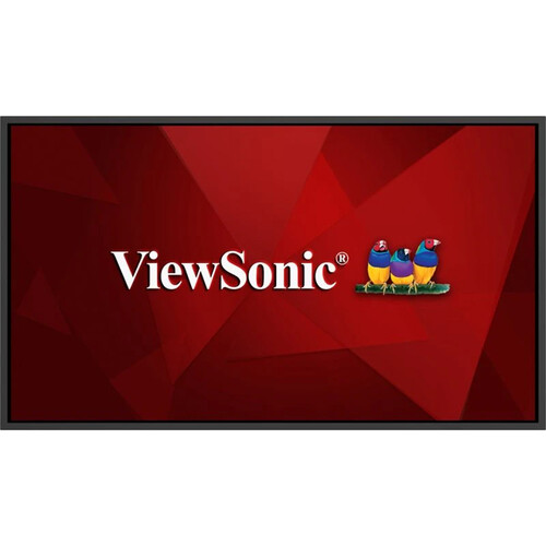 ViewSonic CDE5531 55