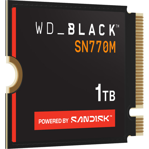 WD 1TB WD_Black SN770M NVMe PCIe 4.0 M.2 Internal SSD