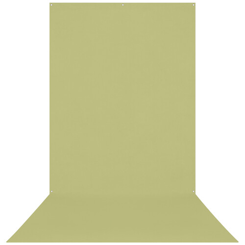 Westcott X-Drop Wrinkle-Resistant Backdrop (Light Moss Green 5 x 12')
